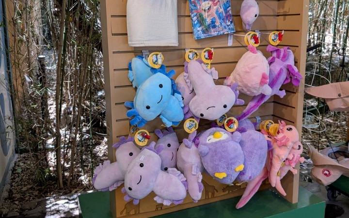 画六角恐龙收获墨西哥网友狂粉！才知它是当地国宝