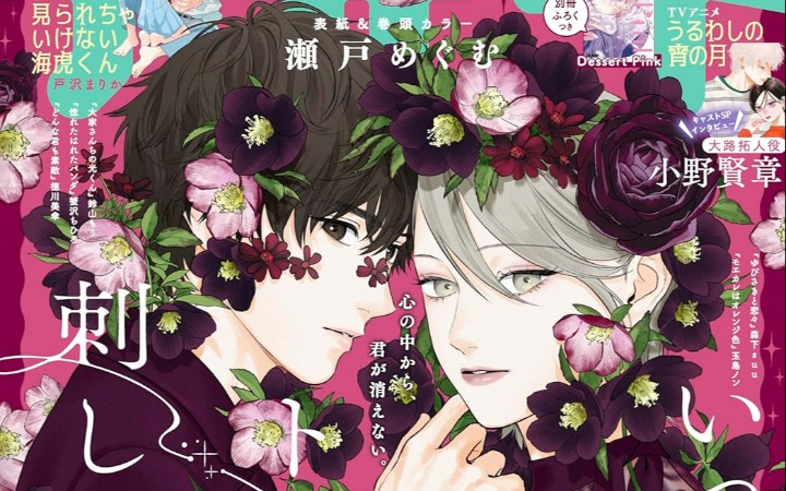 恋爱喜剧《不许偷看的海虎同学》开始连载