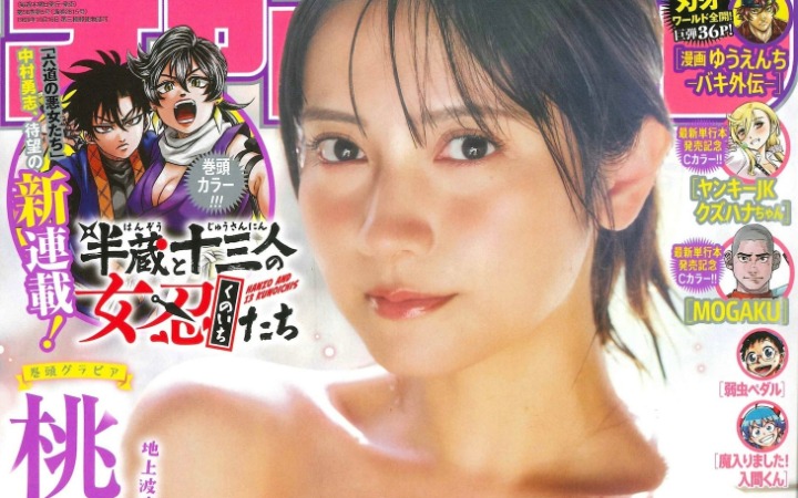 忍恋物语 《半藏与十三位女忍们》开始连载