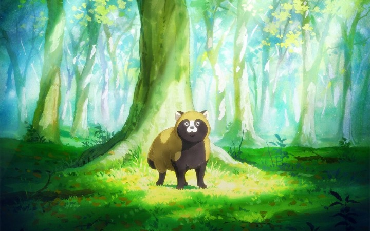 狸猫导师招生 《你，不变成狸猫吗？》动画化决定！