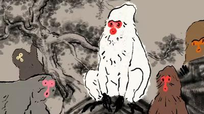 猴子和小偷