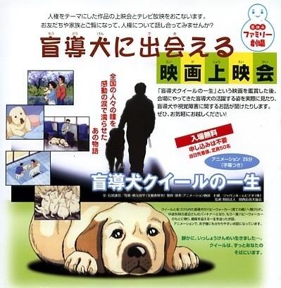 导盲犬奎尔的一生