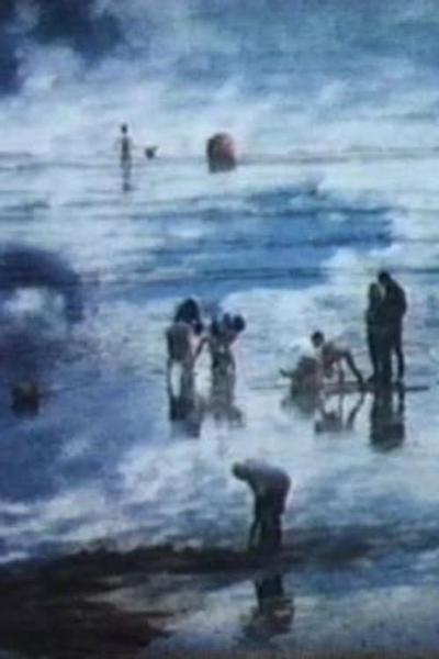 海滩