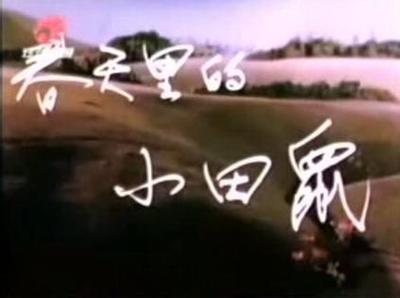 春天里的小田鼠