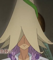 花之魔法师