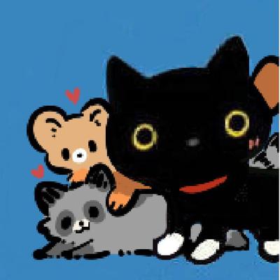 靴下猫腰子