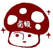 木乃ひのき 木乃ひのき