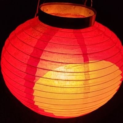 美红 美红