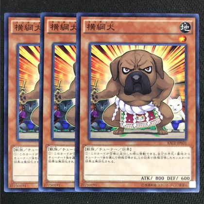 横纲犬.jpg