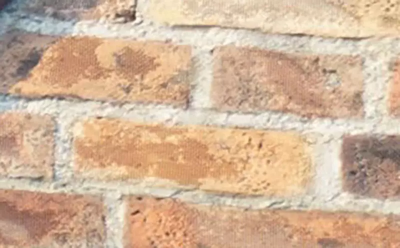 8.jpeg