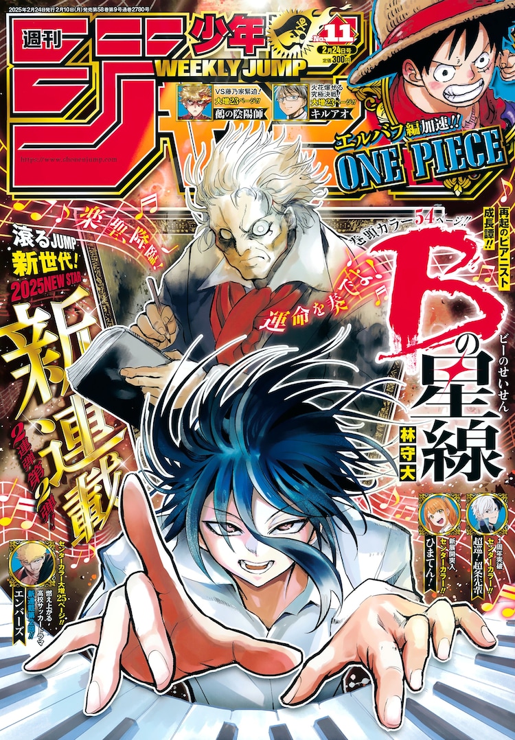 1739253815192730.jpg 1.jpg