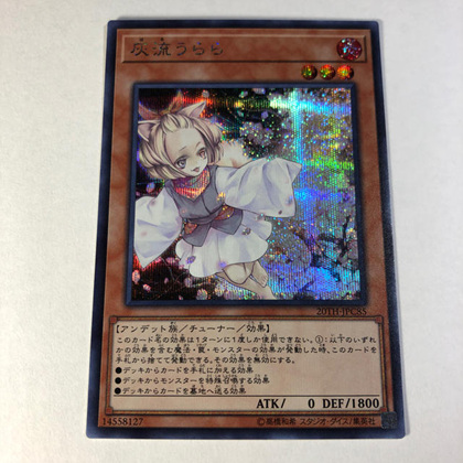 1745397411428993.jpg 灰流丽.jpg