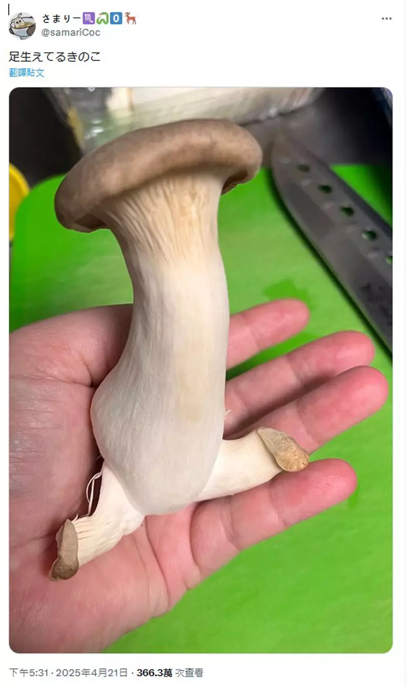 4.jpeg