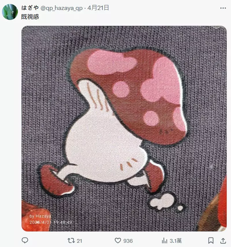 5.jpeg