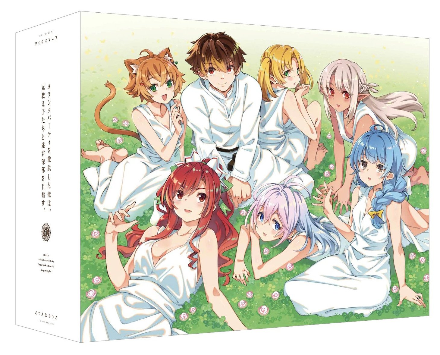 1751180097773784.jpg aparty_BD3_BOX.jpg