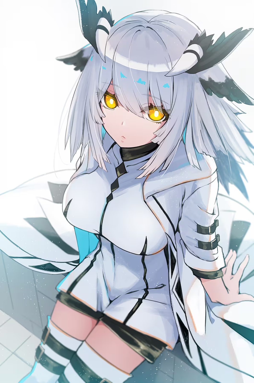 《明日方舟》白面鸮.jpg