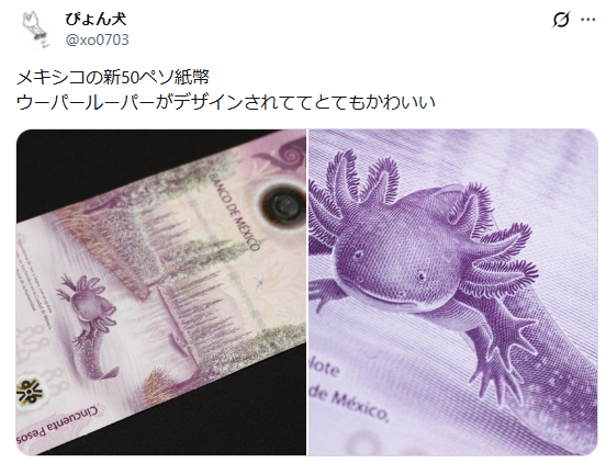 1765072580438327.jpg 003.jpg