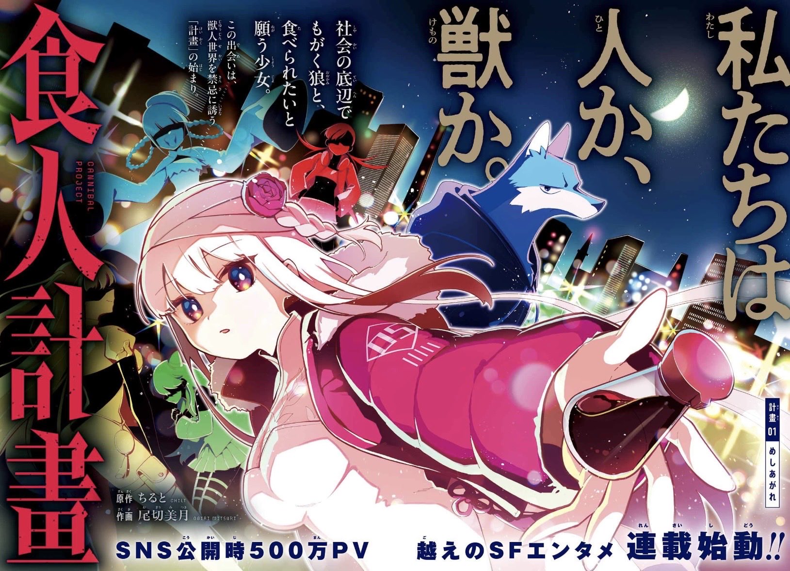 1766743854697557.jpg 1766743854697557.jpg