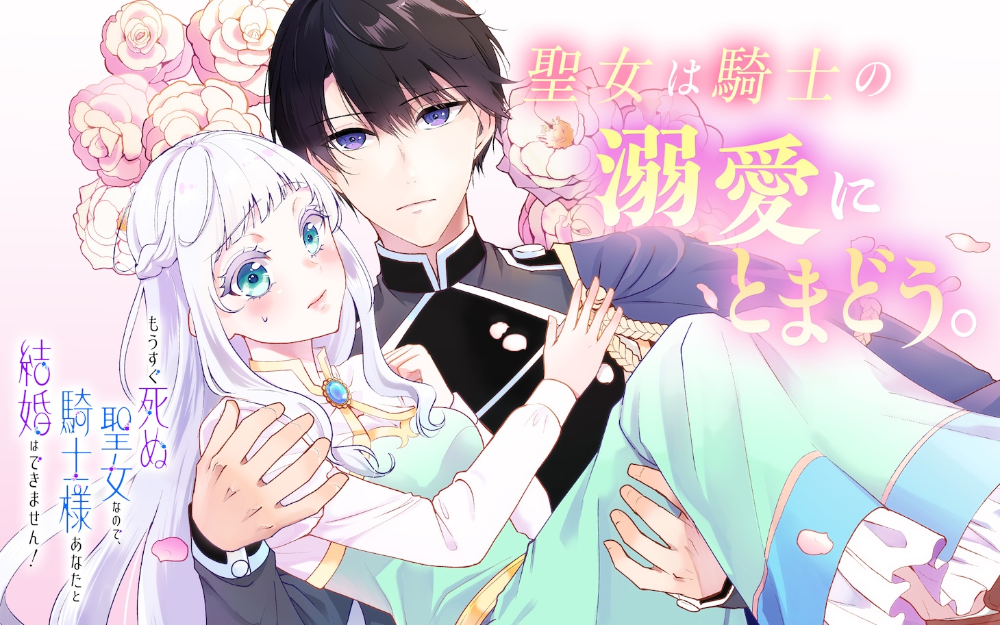 1766984640844160.jpeg mousugushinuseijyo.jpeg