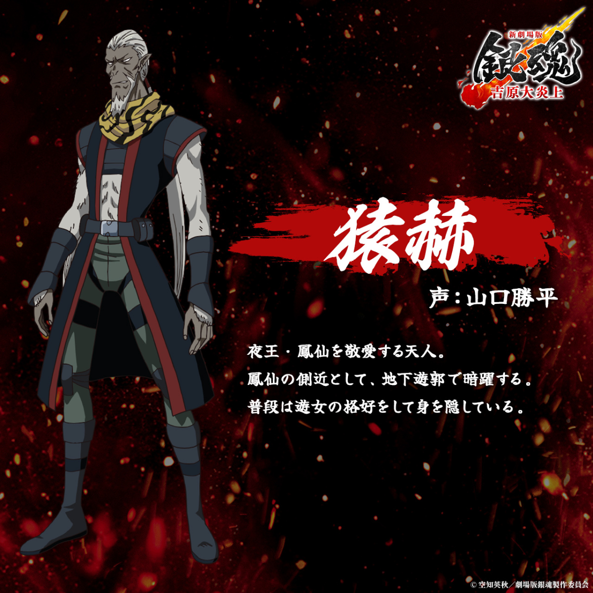 1769318258446697.jpg 002.jpg