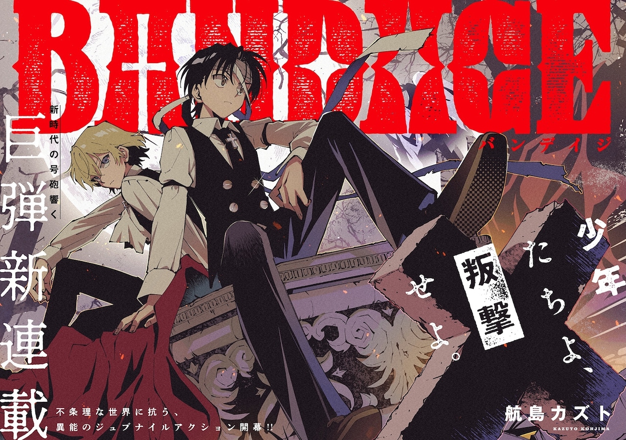 1770531871502934.jpeg bandage002.jpeg