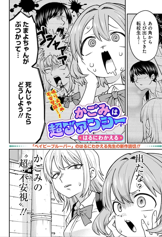 1771122560504540.jpeg kagomi.jpeg