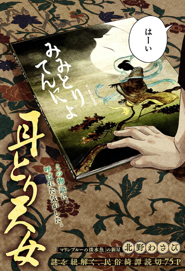 1771914813563026.jpeg mimitoritenyo.jpeg