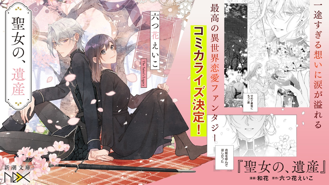 1775035029911032.jpeg bnr_seijyonoisan.jpeg