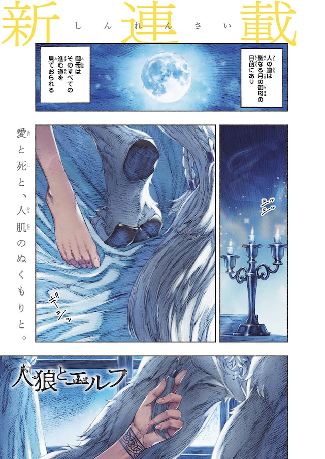 1775722599767213.jpeg jinrotoelf.jpeg