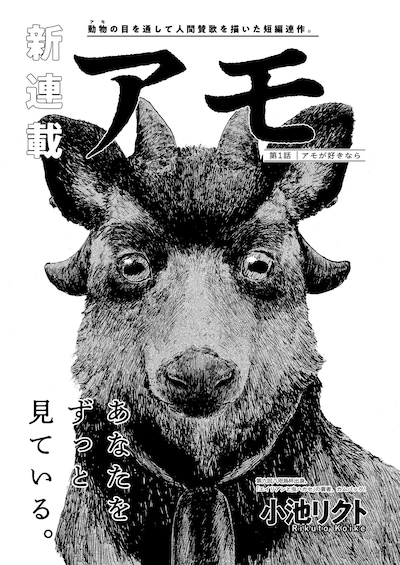 harta134_443.jpeg