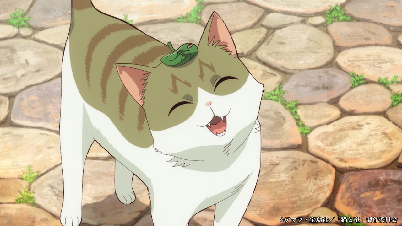 《猫与龙》第一弹PV公开 7月4日开播！