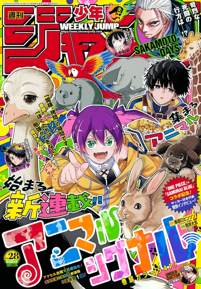 jump2628.jpeg