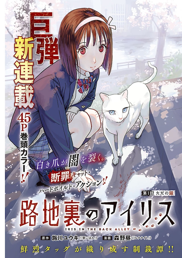 1783481277352402.jpeg rojiurano_1.jpeg