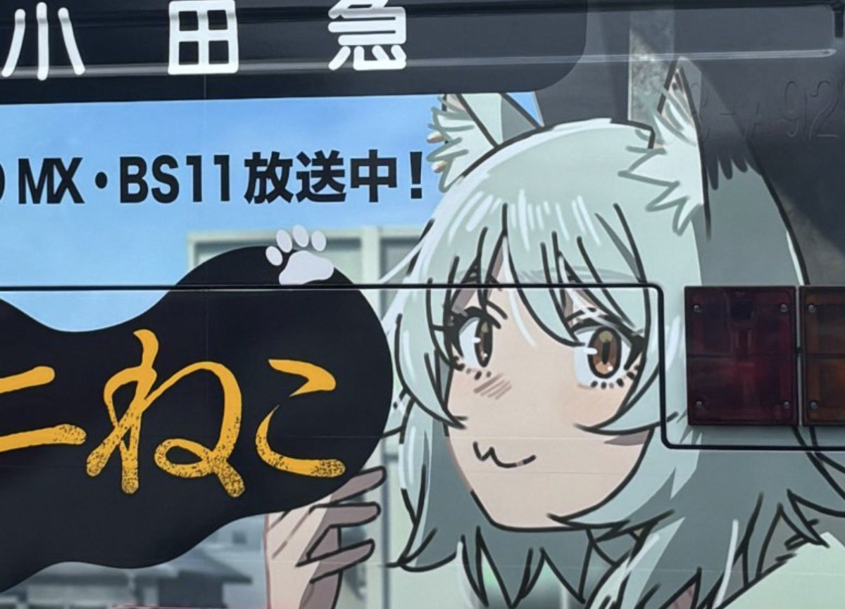 1784441137965364.jpeg 17843258066.jpeg