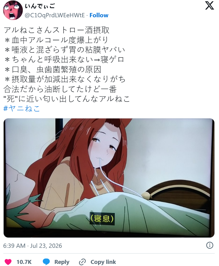 1784897902629022.png 06fc3e67-56c5-41e1-9b7e-b21fce37624b.png