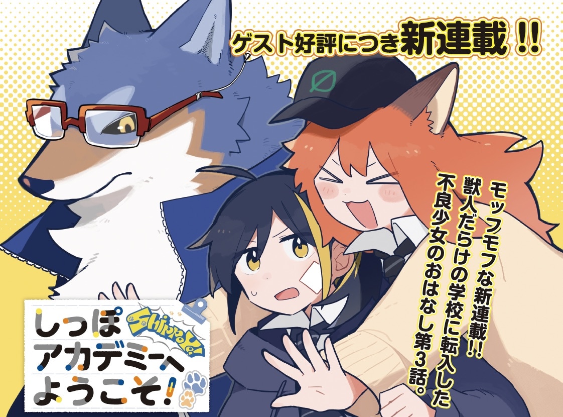 shippoyo_1.jpeg