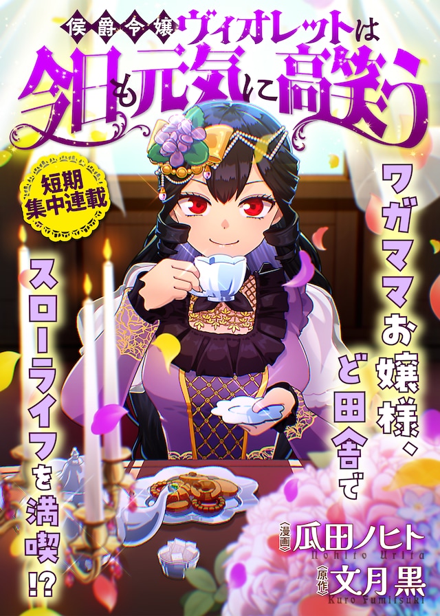 1791012379554614.jpeg koushakureijoviolet_main.jpeg