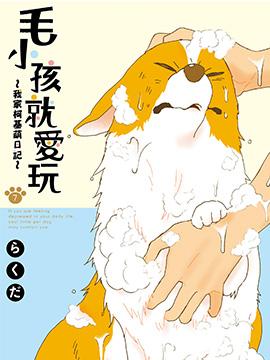 毛小孩就爱玩～我家柯基萌日记