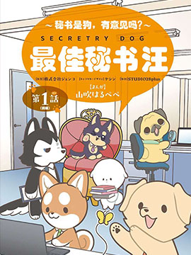最佳秘书汪