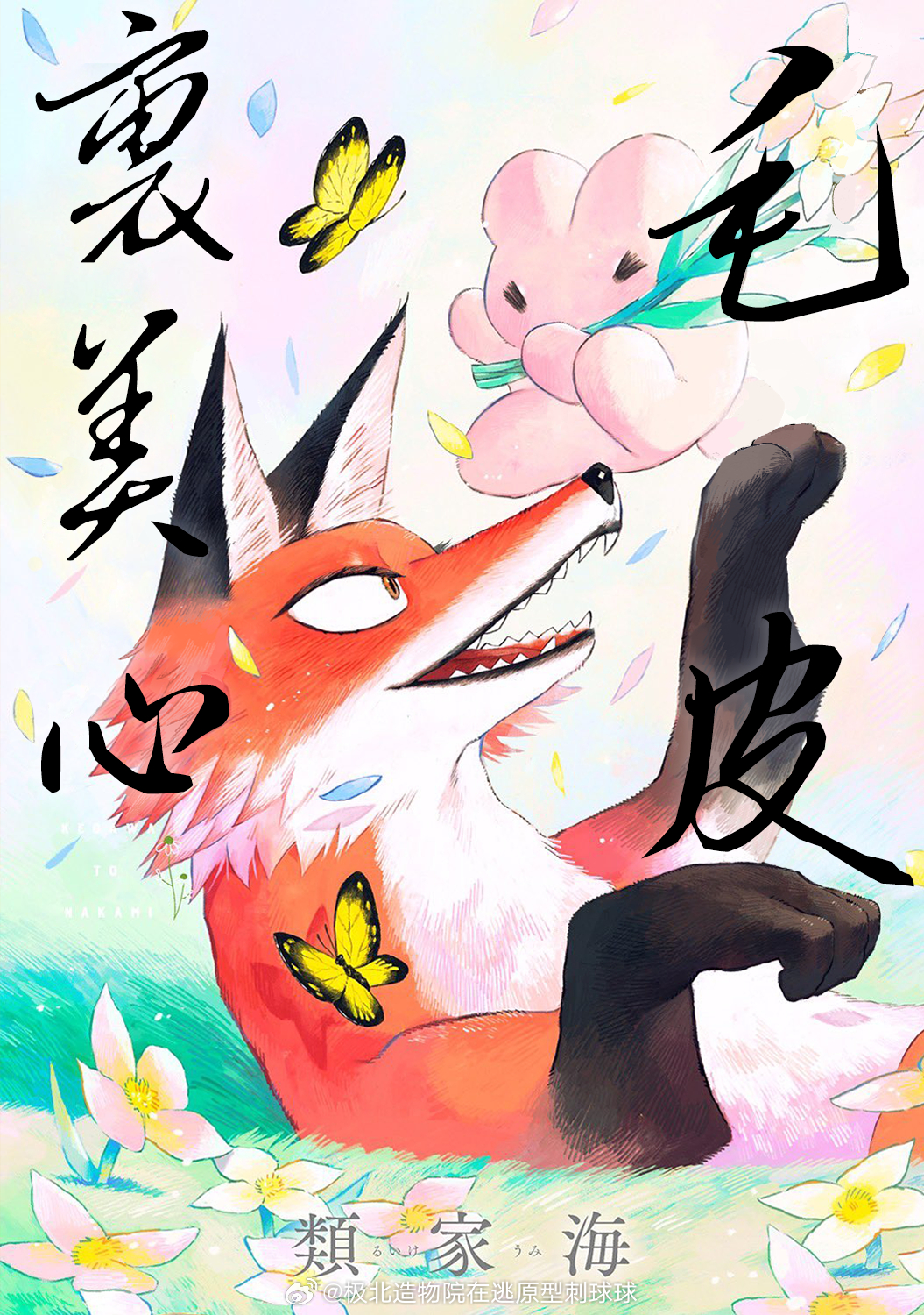 毛皮裹美心