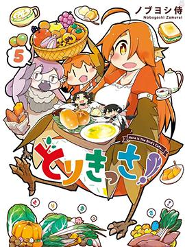 鸟娘咖啡