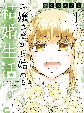 从大小姐开始的婚姻生活