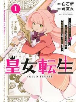 皇女转生~传说中的大魔导士(♂)变成女骑士,创立传说的大小姐骑士团开无双~