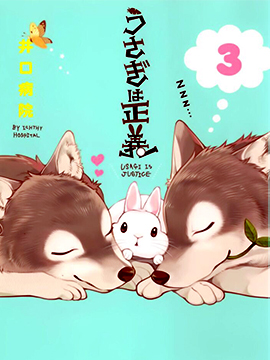 兔子即是正义