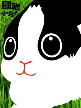 圆眼小兔
