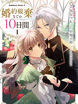 婚约作废前的十天 漫画封面