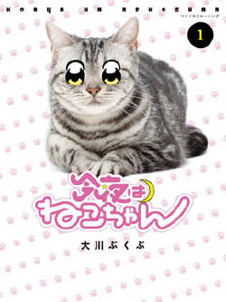 今夜是猫咪酱