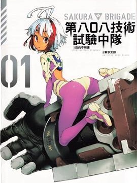 第八〇八技术试验中队