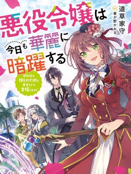 恶役千金今天也在暗中华丽的行动着