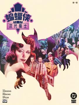 蝙蝠侠-次代骑士